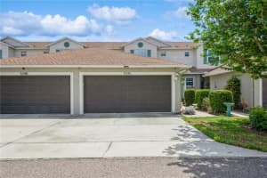 5346 Neil Dr, ST PETERSBURG