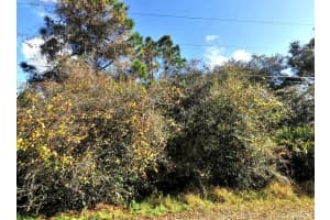 CONESTOGA ST, NORTH PORT, FL 34291 Sold 07/16/25