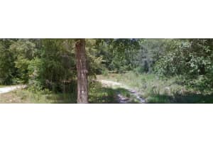 2107 BLUE MAX POINT, HERNANDO, FL 34442 Sold 08/04/25