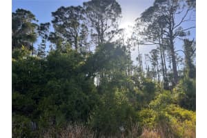 RUFUS RD, NORTH PORT, FL 34288 - MLS#MFRA4650449