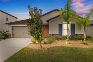 13422 WILLOW BLUESTAR LOOP, RIVERVIEW, FL 33579 Sold 06/30/25