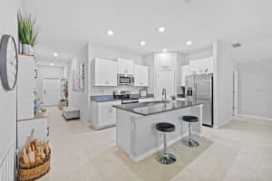 13422 WILLOW BLUESTAR LOOP, RIVERVIEW, FL 33579 Sold 06/30/25