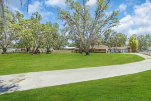 3021 LEILA ESTELLE DRIVE, PLANT CITY, FL 33565 - MLS#MFRA4651203