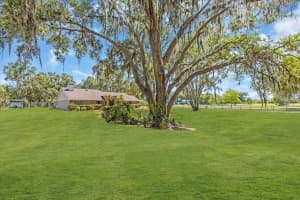 3021 LEILA ESTELLE DRIVE, PLANT CITY, FL 33565 - MLS#MFRA4651203