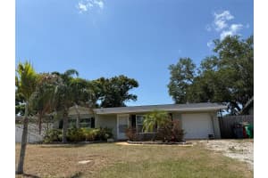 10827 VILLAGE GREEN AVENUE, SEMINOLE, FL 33772 - MLS#MFRA4651437