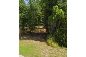 29 PINE TRACE LOOP, OCALA, FL 34472 - MLS#MFRA4651508