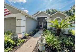 3905 WESTERHAM DRIVE, CLERMONT, FL 34711 Sold 07/18/25