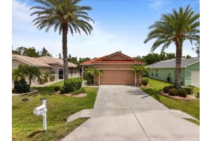 13180 PEMBROKE CIRCLE, LAKE SUZY, FL 34269 - MLS#MFRA4652056