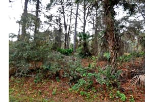 LADY SLIPPER AVE., NORTH PORT, FL 34291 - MLS#MFRA4652462