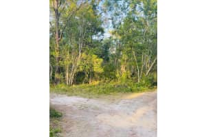 WEBB ST, NEW PORT RICHEY, FL 34654 - MLS#MFRA4652525