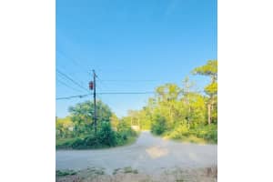 WEBB ST, NEW PORT RICHEY, FL 34654 - MLS#MFRA4652525