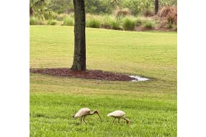 8403 GRAND ESTUARY TRAIL, BRADENTON, FL 34212 - MLS#MFRA4652763