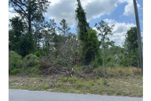 Lot 3 LONG LAKE AVENUE, WEEKI WACHEE, FL 34613 Sold 07/10/25