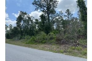 Lot 3 LONG LAKE AVENUE, WEEKI WACHEE, FL 34613 Sold 07/10/25