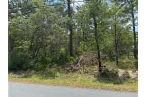 Lot 62 MICHIGAN AVENUE, WEEKI WACHEE, FL 34613 - MLS#MFRA4653077