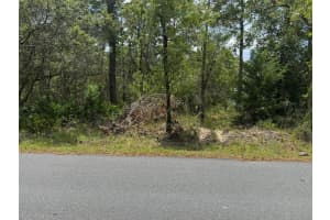 Lot 62 MICHIGAN AVENUE, WEEKI WACHEE, FL 34613 - MLS#MFRA4653077