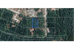 CASA BIANCA AVE, NEW PORT RICHEY, FL 34654 - MLS#MFRA4653259