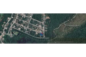 CASA BIANCA AVE, NEW PORT RICHEY, FL 34654 - MLS#MFRA4653259