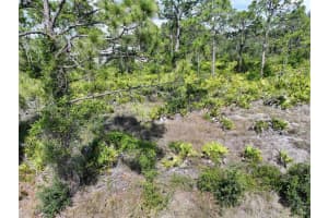 12222 CARTOUCHE AVENUE, PUNTA GORDA, FL 33955 - MLS#MFRA4653503