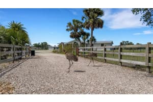 7160 MYAKKA VALLEY TRAIL, SARASOTA, FL 34241 - MLS#MFRA4653633