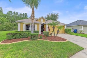 5618 Sheer Bliss Loop, LAND O LAKES