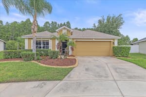 5618 SHEER BLISS LOOP, LAND O LAKES, FL 34639 - MLS#MFRA4653651