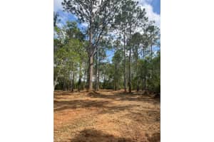434 RANCHETTE ROAD, NEW SMYRNA BEACH, FL 32168 Sold 08/28/25