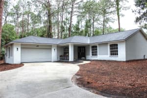 27944 Green Willow Run, WESLEY CHAPEL