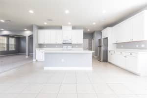 7113 PARK TREE DRIVE, TAMPA, FL 33625 Sold 08/13/25