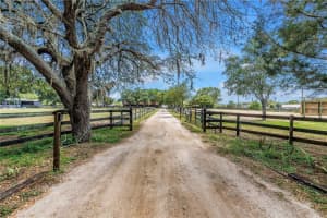 12714 Tyler Run Ave, ODESSA