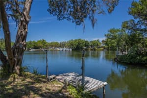 3861 RINGDOVE POINT, CRYSTAL RIVER, FL 34428 - MLS#MFRA4654516