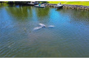 3861 RINGDOVE POINT, CRYSTAL RIVER, FL 34428 - MLS#MFRA4654516