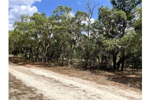 TBD 95TH STREET, DUNNELLON, FL 34431 - MLS#MFRA4654625