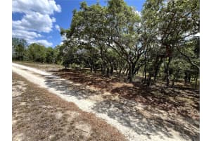 TBD 95TH STREET, DUNNELLON, FL 34431 - MLS#MFRA4654625