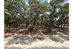 TBD 95TH STREET, DUNNELLON, FL 34431 - MLS#MFRA4654625