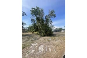 JUNGLE WAY, SARASOTA, FL 34243 - MLS#MFRA4654685