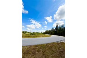 29276 MEADOWLARK LANE, PUNTA GORDA, FL 33982 - MLS#MFRA4654935