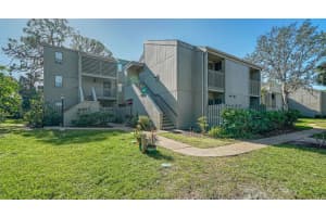 137 Woodland Pl, OSPREY