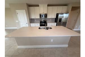 10013 DAYBREAK GLEN, PARRISH, FL 34219 - MLS#MFRA4655049