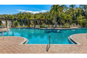 17221 HARVEST MOON WAY, BRADENTON, FL 34211 - MLS#MFRA4655430