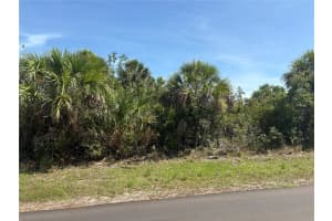 12023 GROUSE AVENUE, PORT CHARLOTTE, FL 33981 - MLS#MFRA4655780
