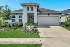 6219 Golden Nettle Dr, APOLLO BEACH