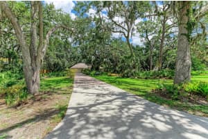 3217 OAK GROVE DRIVE, SARASOTA, FL 34243 - MLS#MFRA4656185