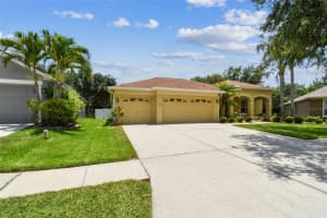 11009 WILDCAT DRIVE, RIVERVIEW, FL 33579 Sold 08/06/25
