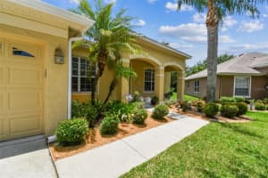 11009 WILDCAT DRIVE, RIVERVIEW, FL 33579 Sold 08/06/25