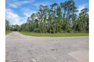 LANGLAIS DR, NORTH PORT, FL 34288 - MLS#MFRA4656783