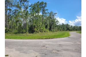 LANGLAIS DR, NORTH PORT, FL 34288 - MLS#MFRA4656783