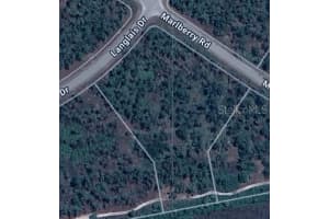 LANGLAIS DR, NORTH PORT, FL 34288 - MLS#MFRA4656783