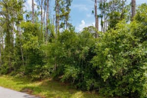 STARFISH AVE, NORTH PORT, FL 34291 Sold 07/28/25