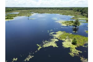 8781 LAKESHORE DRIVE, FLORAL CITY, FL 34436 - MLS#MFRA4656947